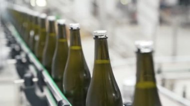 Yakın çekim yeşil renk şişe şampanya veya şarap fabrikası'nda konveyör hattı boyunca hareket