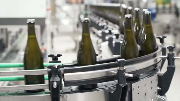 Close-up green color bottles move along conveyor line at a factory of champagne or wine — Stock Video