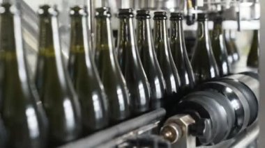 Yakın çekim yeşil renk şişe şampanya veya şarap fabrikası'nda konveyör hattı boyunca taşıyın. Şampanya veya şarap üretimi. Alkollü içecekler şişeleme tesisi