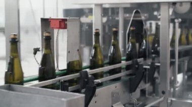 Yakın çekim yeşil renk şişe şampanya veya şarap fabrikası'nda konveyör hattı boyunca hareket