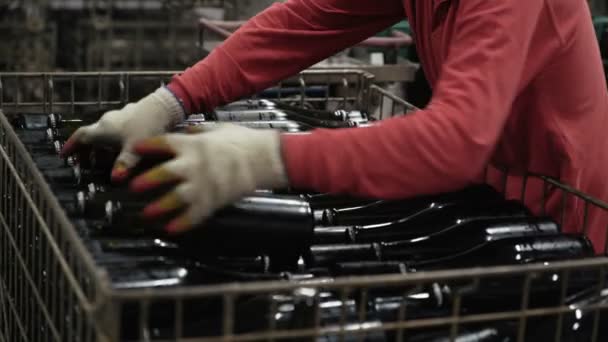 Cerca de las manos del trabajador toma botellas de champán de la cinta transportadora — Vídeos de Stock