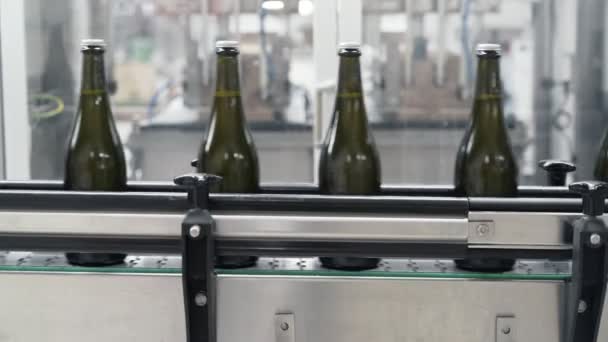 Γκρο πλαν πράσινο χρώμα μπουκάλια μετακινούνται κατά μήκος γραμμής μεταφοράς σε ένα εργοστάσιο σαμπάνια ή κρασί — Αρχείο Βίντεο