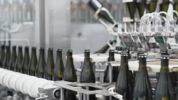 Botellas de vidrio en la línea transportadora automática en la fábrica de champán o vino. Planta para embotellar bebidas alcohólicas . — Vídeos de Stock