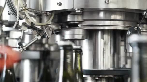 Крупный план бутылки зеленого цвета перемещаются по конвейерной линии на заводе шампанского или вина — стоковое видео