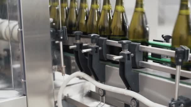 Close-up green color bottles move along conveyor line at a factory of champagne or wine — Stock Video