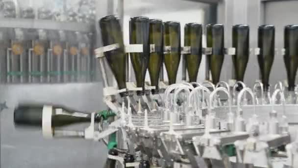 Close-up green color bottles move along conveyor line at a factory of champagne or wine — Stock Video