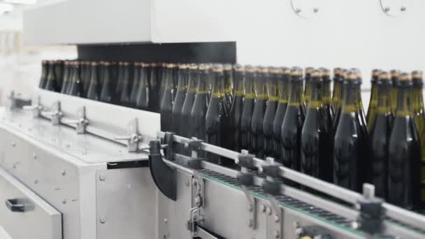 Glasflaskor på raden Automatisk transportband på champagne eller vin fabriken. Anläggning för buteljering alkoholhaltiga drycker. — Stockvideo