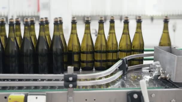 Botellas de vidrio en la línea transportadora automática en la fábrica de champán o vino. Planta para embotellar bebidas alcohólicas . — Vídeo de stock