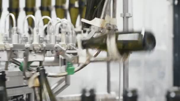 Glazen flessen op de lijn van de automatische transportband aan de champagne of wijn fabriek. Plant voor het bottelen van alcoholhoudende dranken. — Stockvideo