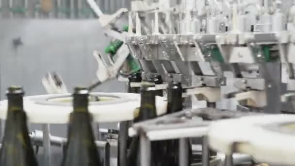 Bottiglie di vetro sulla linea di trasporto automatico presso la fabbrica di champagne o vino. Impianto di imbottigliamento bevande alcoliche . — Video Stock