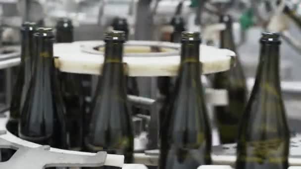 Glasflaschen auf der automatischen Förderlinie in der Champagner- oder Weinfabrik. Anlage zur Abfüllung alkoholischer Getränke. — Stockvideo