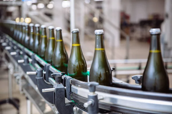 Glasflaskor på raden Automatisk transportband på champagne eller vin fabriken. Anläggning för buteljering alkoholhaltiga drycker. — Stockfoto