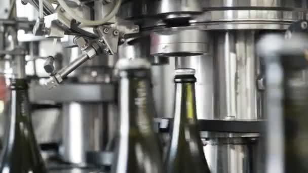 Botellas de vidrio en la línea transportadora automática en la fábrica de champán o vino. Planta para embotellar bebidas alcohólicas . — Vídeos de Stock