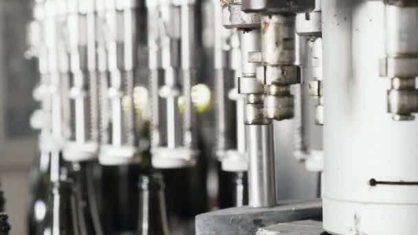 Botellas de vidrio en la línea transportadora automática en la fábrica de champán o vino. Planta para embotellar bebidas alcohólicas . — Vídeos de Stock