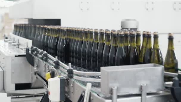 Botellas de vidrio en la línea transportadora automática en la fábrica de champán o vino. Planta para embotellar bebidas alcohólicas . — Vídeo de stock