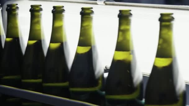 Garrafas de vidro na linha de transporte automático na fábrica de champanhe ou vinho. Instalação para engarrafamento de bebidas alcoólicas . — Vídeo de Stock