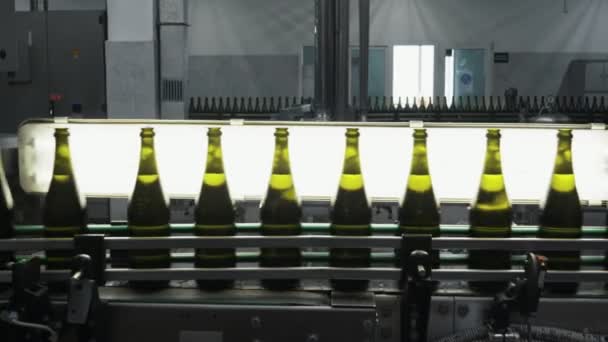 Glazen flessen op de lijn van de automatische transportband aan de champagne of wijn fabriek. Plant voor het bottelen van alcoholhoudende dranken. — Stockvideo