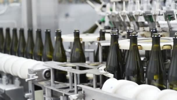 Botellas de vidrio de cámara lenta en la línea transportadora automática de la fábrica de champán o vino. Planta para embotellar bebidas alcohólicas . — Vídeo de stock
