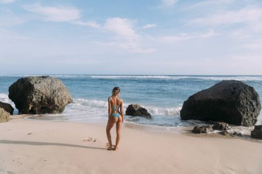 Arka görünümü ince kız büyük taşlarla tropik sahilde poz mayo.