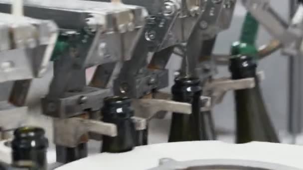 Garrafas de vidro na linha de transporte automático na fábrica de champanhe ou vinho. Instalação para engarrafamento de bebidas alcoólicas . — Vídeo de Stock