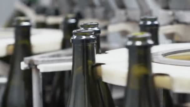 Botellas de vidrio en la línea transportadora automática en la fábrica de champán o vino. Planta para embotellar bebidas alcohólicas . — Vídeos de Stock