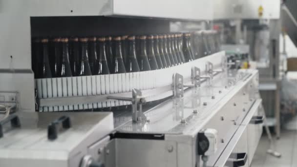 Glasflaskor på raden Automatisk transportband på champagne eller vin fabriken. Anläggning för buteljering alkoholhaltiga drycker. — Stockvideo