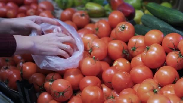 Las manos cerradas de la mujer ponen los tomates en la bolsa plástica del mostrador con hortalizas frescas . — Vídeo de stock