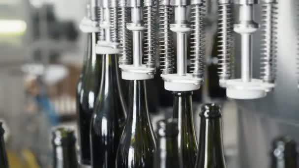 Close-up groene kleur flessen bewegen langs automatische transportband lijn in de fabriek van Champagne of wijn — Stockvideo