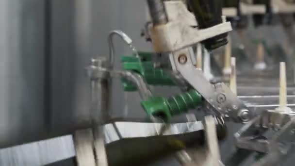 Close up green bottles washed in factory automatic conveyor belt. Champagne or wine production — Stock Video