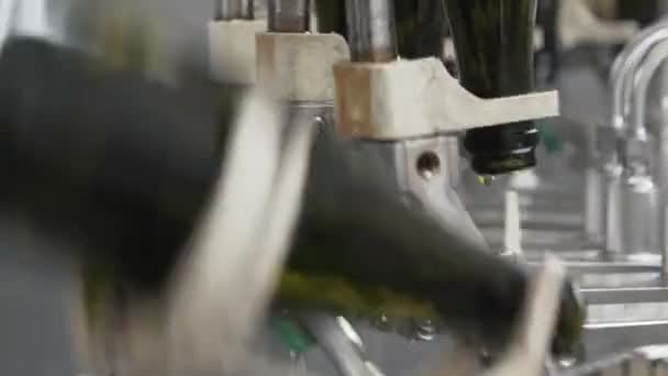 Fermez les bouteilles vertes lavées dans la bande transporteuse automatique d’usine. Production de Champagne ou de vin — Video