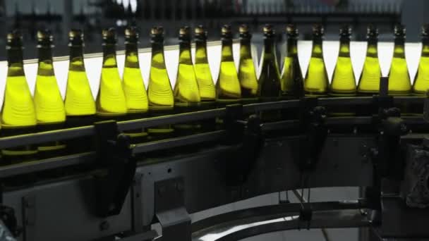 Las botellas con alcohol se mueven a lo largo de la cinta transportadora automática, control de calidad en la fábrica de champán — Vídeos de Stock