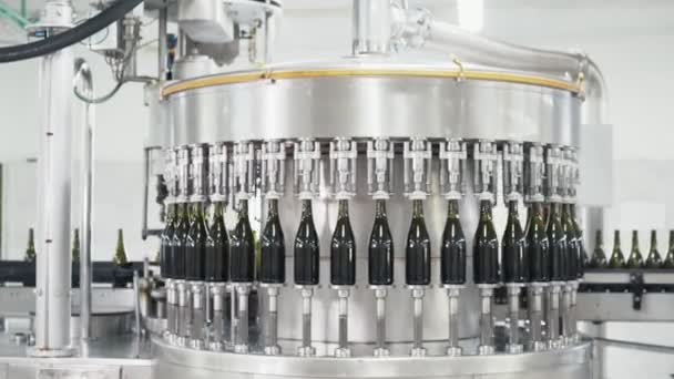 Green color bottles move along conveyor line at a factory of champagne or wine — Stock Video