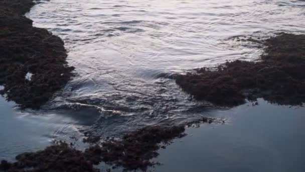 Zbliżenie wody oceanu myje skalisty brzeg plaży, powolny ruch — Wideo stockowe