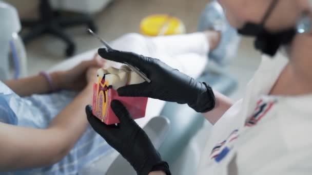 Стоматолог показывает пациенту кариес по модели зубов и здорового зуба, замедленная съемка — стоковое видео