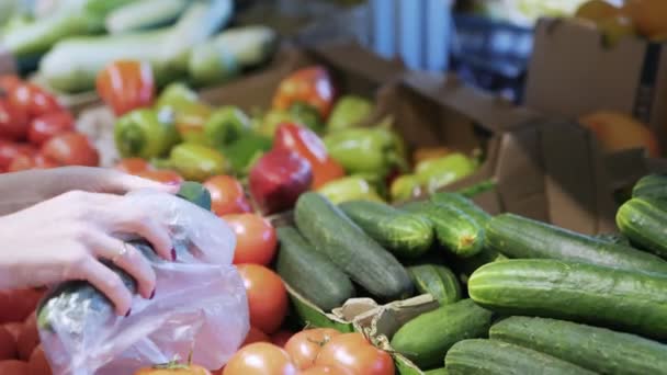 Närbild kvinna händer sätta gurkor i plastpåse från disk med grönsaker — Stockvideo