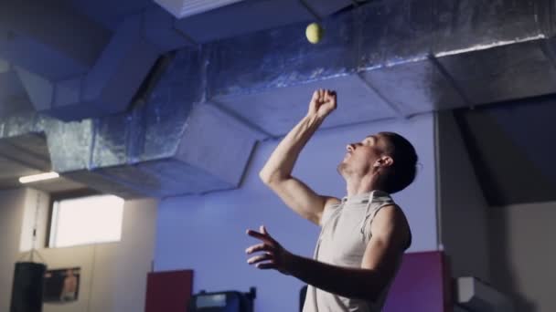 Boxeador deportista profesional entrena con pelota de tenis en gimnasio — Vídeo de stock