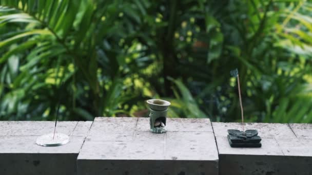 Nahaufnahme von zwei aromatischen Stöcken auf Ständern, Grün im Hintergrund — Stockvideo