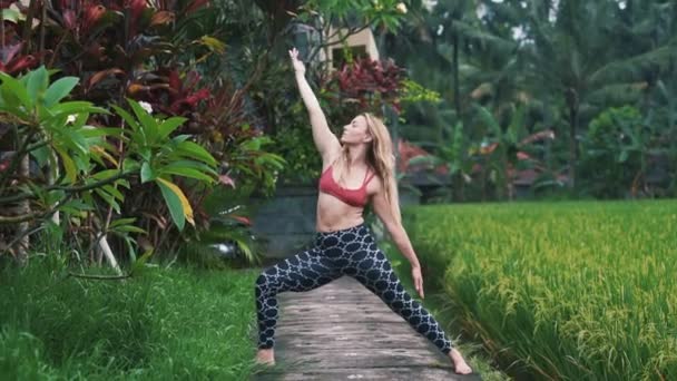 Jeune femme faisant des exercices de yoga et s'étirant à l'extérieur, verdure sur fond — Video