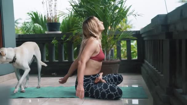 Молода жінка займається вправами йоги зі своєю собакою на балконі на килимку йоги — стокове відео