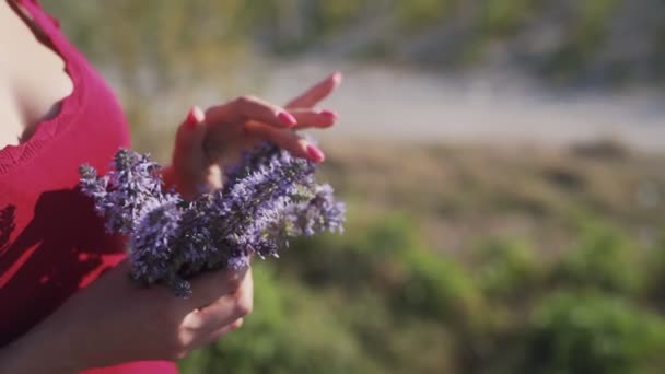 Close up de mãos de mulher segura buquê de flores silvestres, câmera lenta — Vídeo de Stock