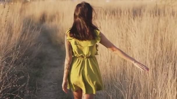 Молода жінка ходить і торкається сухої високої трави влітку в полі, повільний рух — стокове відео