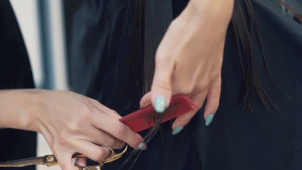 Da vicino, mano del parrucchiere pettinando i capelli bagnati della donna, tagliando i capelli con le forbici — Video Stock