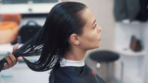 El primer plano de las manos de la peluquería peina el cabello mojado de la muchacha antes de cortar — Vídeos de Stock