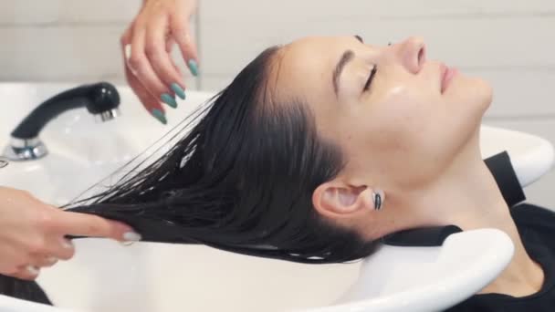 Gros plan, coiffeur applique revitalisant pour les cheveux mouillés de la femme, au ralenti — Video