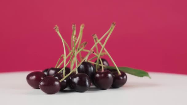 Close-up, bos van kersen spins op witte standaard geïsoleerd op roze achtergrond — Stockvideo
