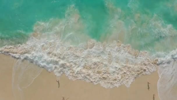 Drone footage of people at white sand beach with azure water, foaming ocean waves — Stock Video