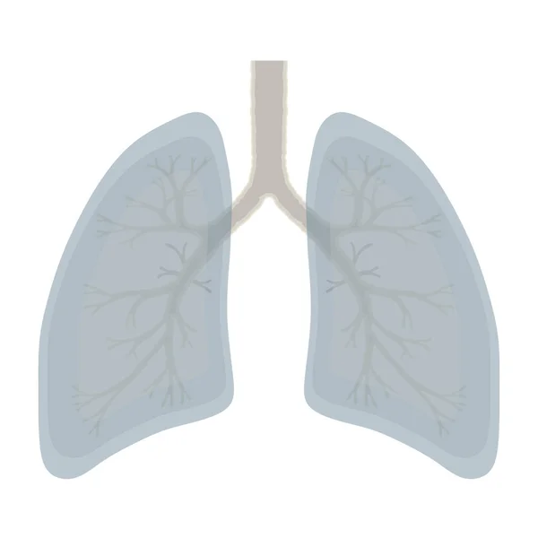 Illustration Der Menschlichen Lungenanatomie Krankheit Atemwegskrebs Grafiken Vektor — Stockvektor