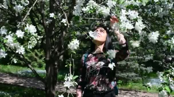 Joven mujer feliz caminando en un huerto de manzanas en las flores de primavera blanco. Retrato de una hermosa chica — Vídeos de Stock