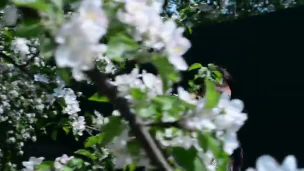 Νεαρή γυναίκα ευτυχισμένη περπάτημα σε Μηλιές στα λευκά λουλούδια την άνοιξη. Πορτρέτο του ένα όμορφο κορίτσι — Αρχείο Βίντεο