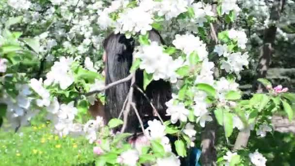 Joven mujer feliz caminando en un huerto de manzanas en las flores de primavera blanco. Retrato de una hermosa chica — Vídeos de Stock